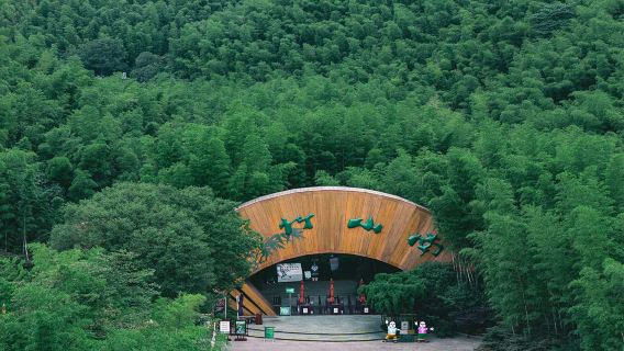 Tianmu Lake Nanshan Bamboo Sea Scenic Spot