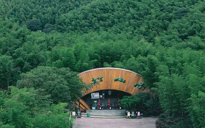 Tianmu Lake Nanshan Bamboo Sea Scenic Spot