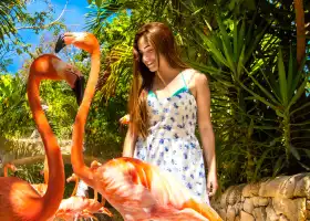Xcaret Park