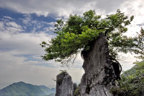 화영산(화잉산)