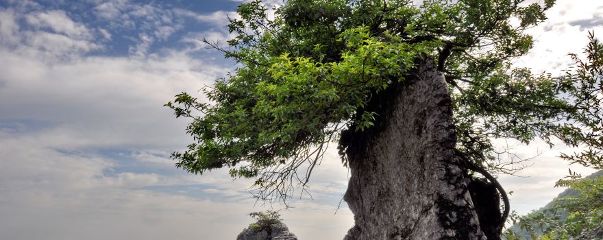 四川广安旅游攻略:探秘伟人邓小平故里的魅力 四川广安旅游攻略:探秘伟人邓小平故里的魅力