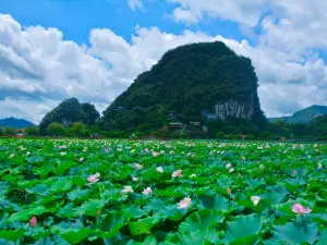 峰林曉鎮