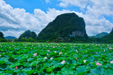 Jiulong Town