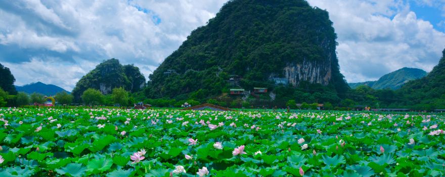 Jiulong Town