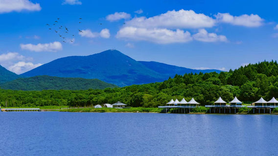 Forest Slow Valley Resort Scenic Area