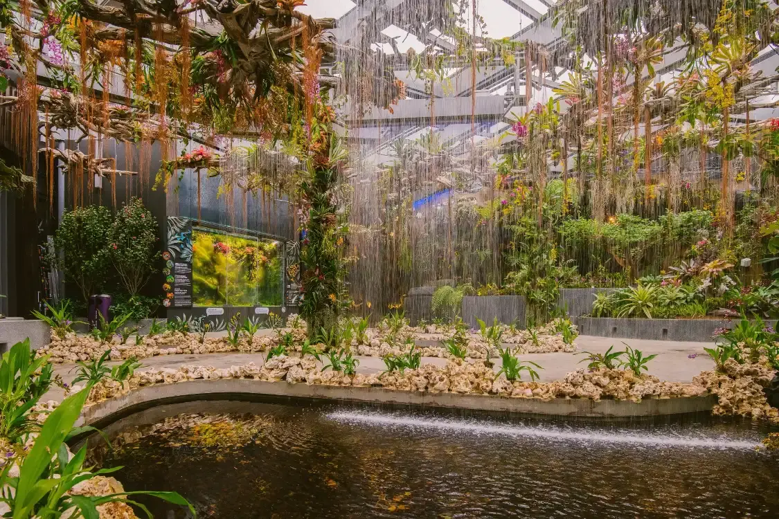 Hotel in zona Floral Fantasy