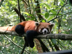 Trải nghiệm nổi bật 8 Hàng Đầu Tại Phổ Nhĩ