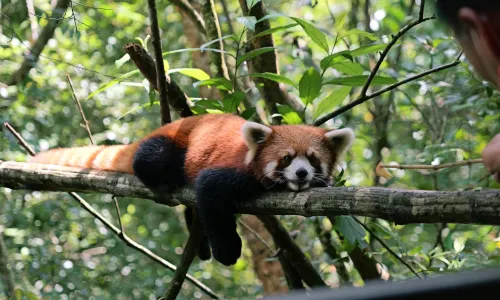 Pu'Er Sun-River National Forest Park