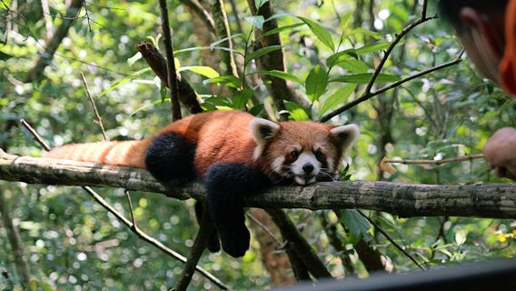 Pu'Er Sun River Forest Park