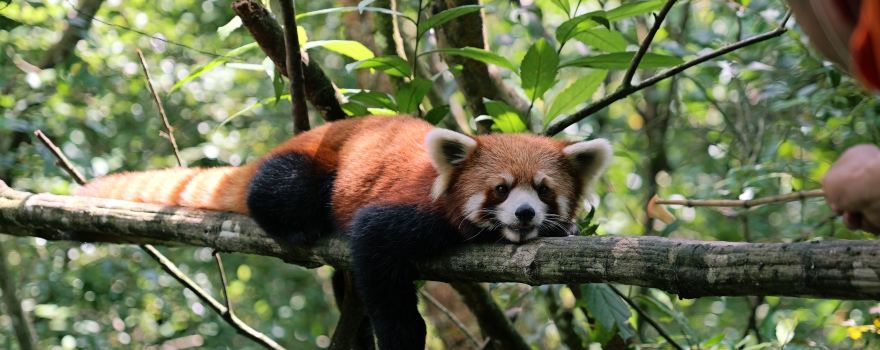 Pu'Er Sun-River National Forest Park