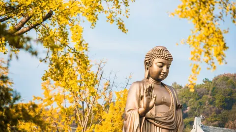 Lingshan Grand Buddha attraction in Wuxi