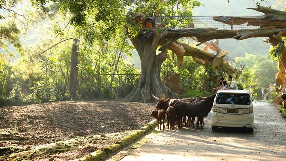 Taman Safari Indonesia Bogor