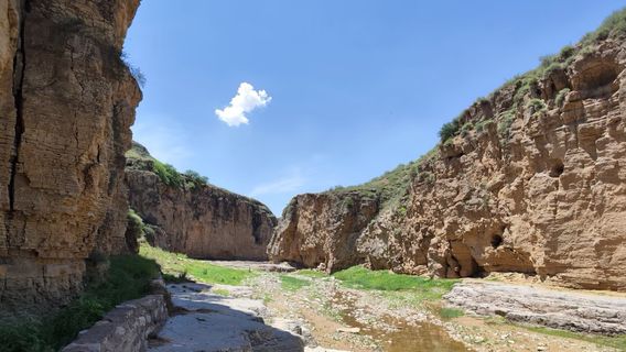 yang jia chuan xiao xia gu