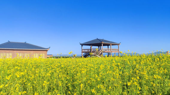 Ruoergai·Rer Tribe Sika Deer Nature Reserve