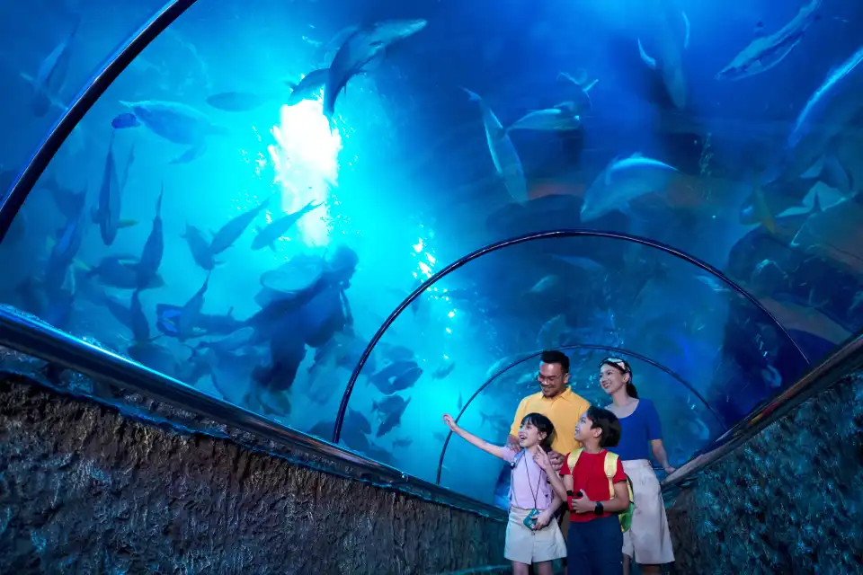 4_Sea World Ancol