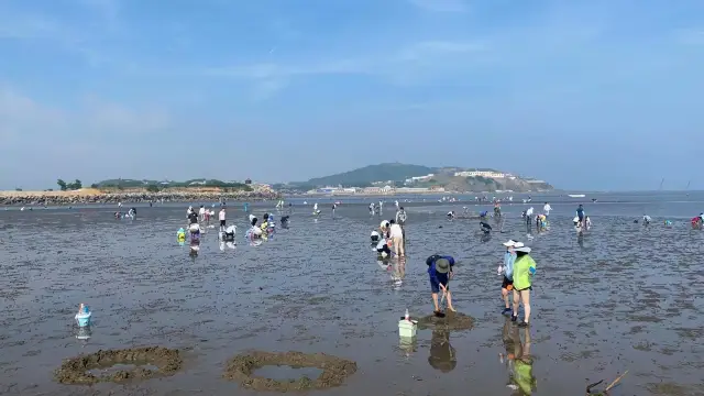 Beachcombing in Dalian