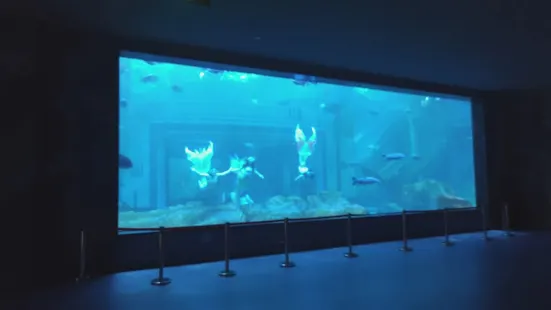 湖口縣水族館