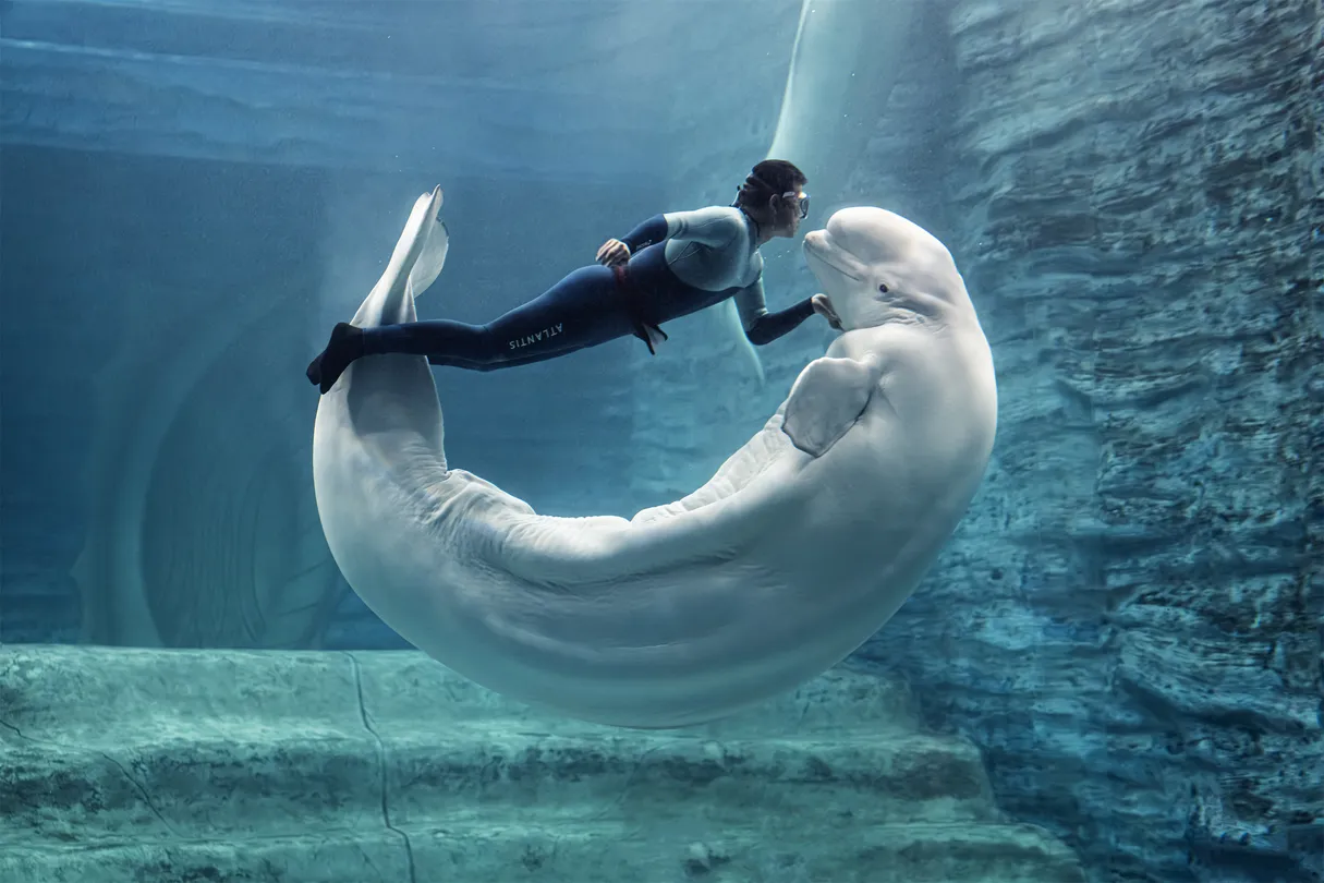 4_亞特蘭蒂斯失落的空間水族館