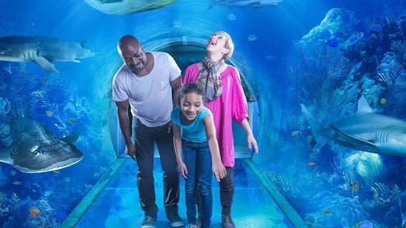 National SEA LIFE Centre Birmingham