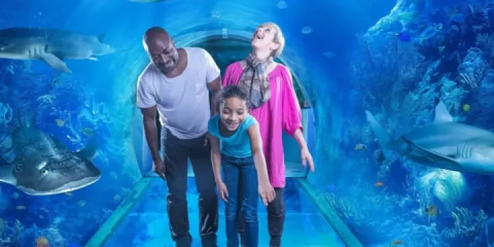 國家海洋生物中心