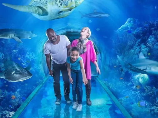 國家海洋生物中心