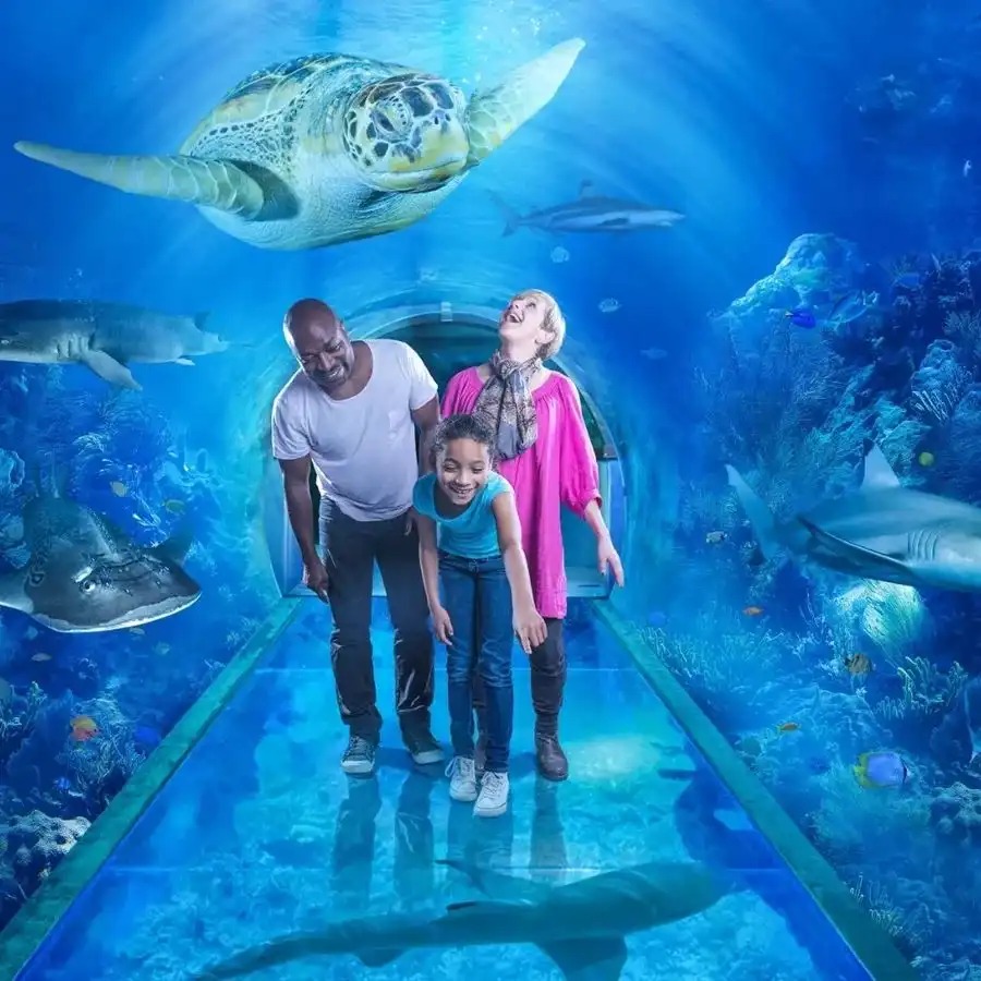 Hotels near National SEA LIFE Centre Birmingham