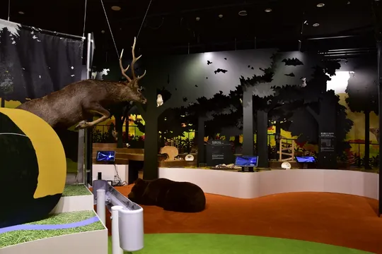 4_北海道博物館