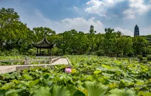 เขาเนินเสือ