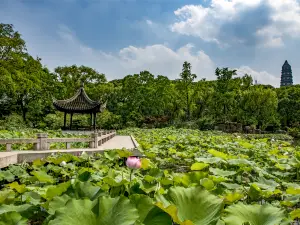 Top 12 Water Fun Attractions in Suzhou