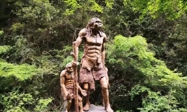 หุบเขาป่า