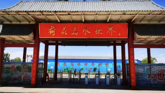 Lotus Island Water World