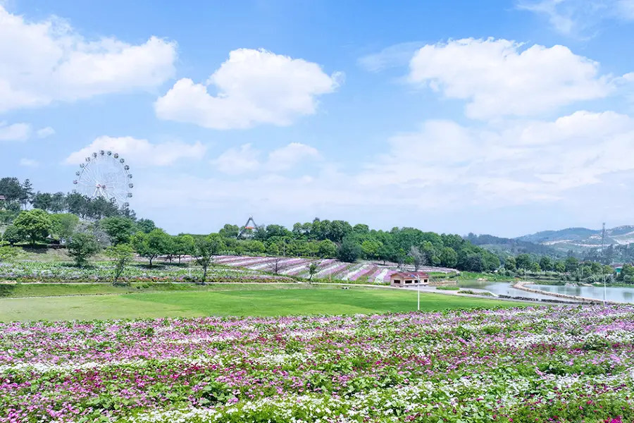 Flower Sea Paradise