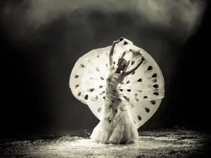 “운남영상” 공연