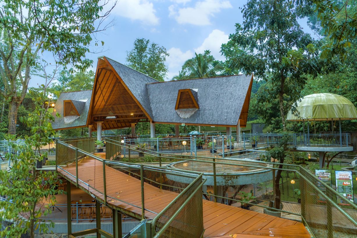 HeHa Forest