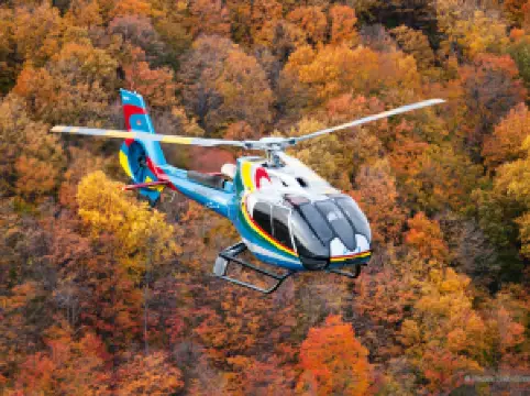 Niagara Helicopters Limited