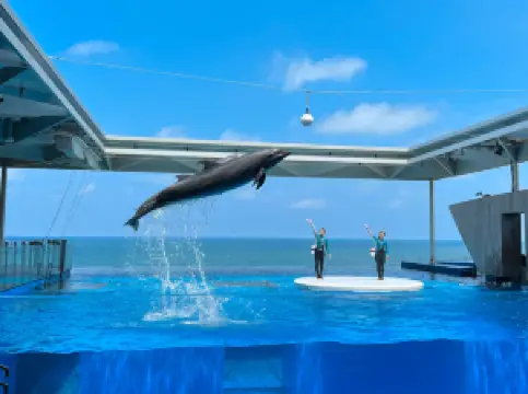 Jōetsu Aquarium Umigatari