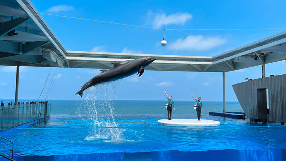 Jōetsu Aquarium Umigatari