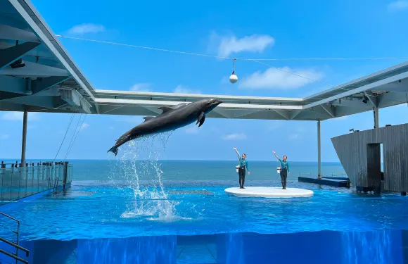 上越市立水族博物館門票嬰兒（幼稚園）