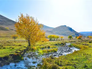 Yunzhong Grassland