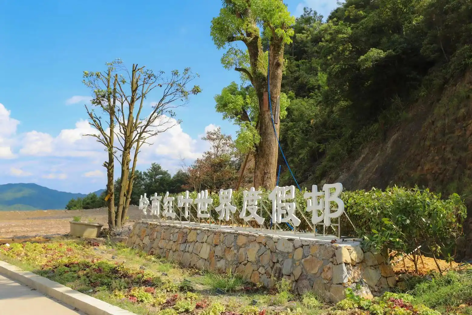 鄰近嶺南紅葉世界的酒店