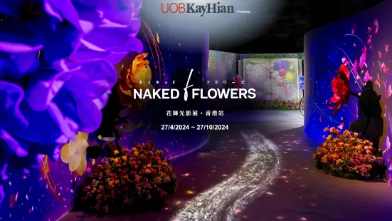 大華繼顯呈獻：NAKED FLOWERS 花舞光影展香港站