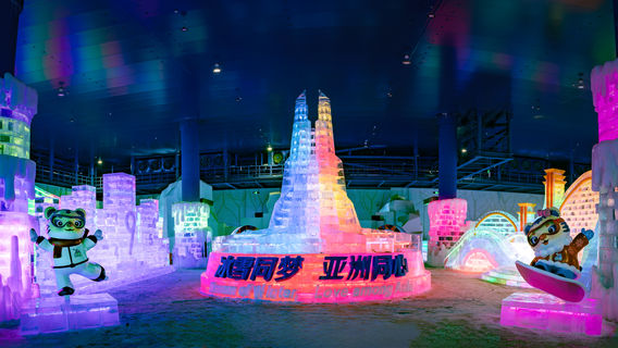 China Harbin Ice And Snow World
