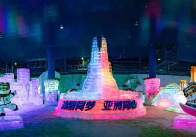 Ice-snow World