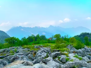 Medicine King Valley