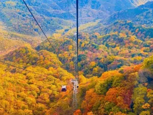 Micang Mountain National Forest Park