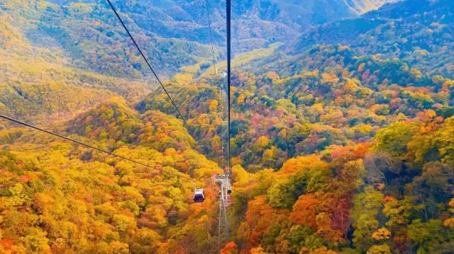 Fall Foliage Sightseeing in Bazhong