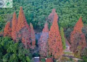 莫幹山風景名勝區