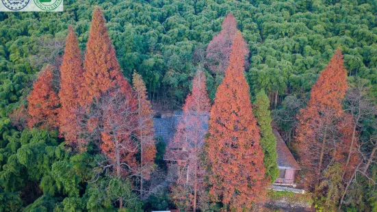 莫干山風景名勝区