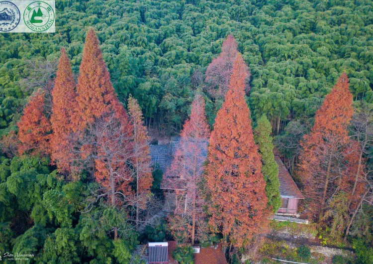 【莫干山美食】2025莫干山美食餐廳盤點！附當地景點推薦