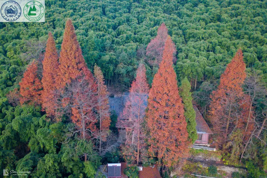 모간산 관광지구